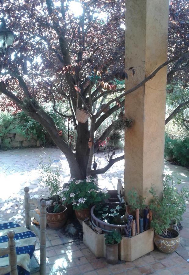 مبيت وإفطار Fitou Atelier Pasquer المظهر الخارجي الصورة